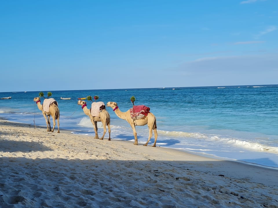 Strand Hotel Southern Palms Beach Resort