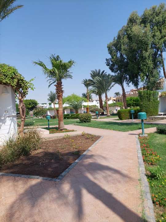 Gartenanlage Shams Safaga Resort