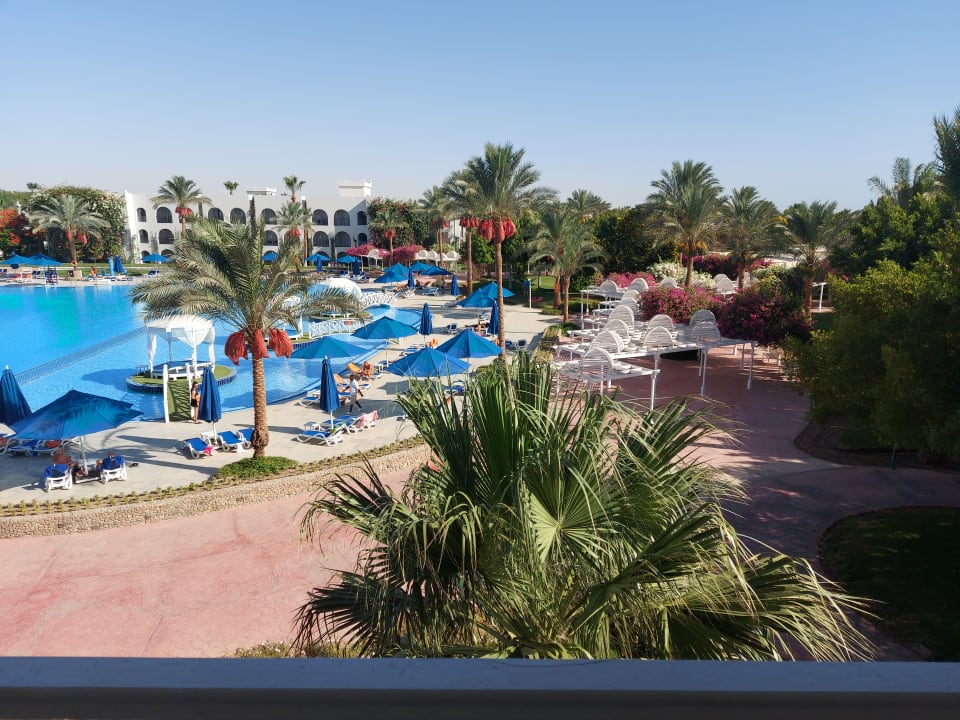 Ausblick Desert Rose