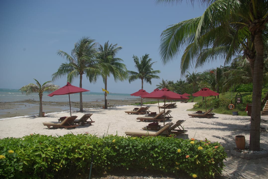 Strand und Liegen InterContinental Pattaya Resort