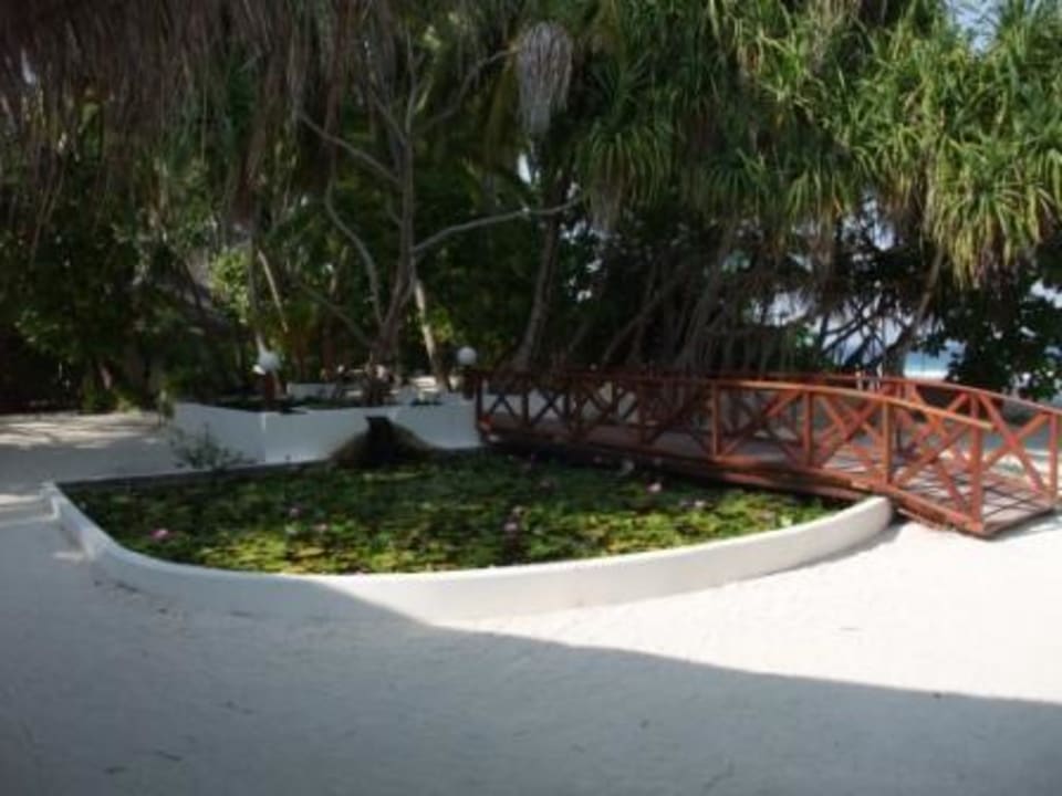 Inselinneres Angaga Island Resort