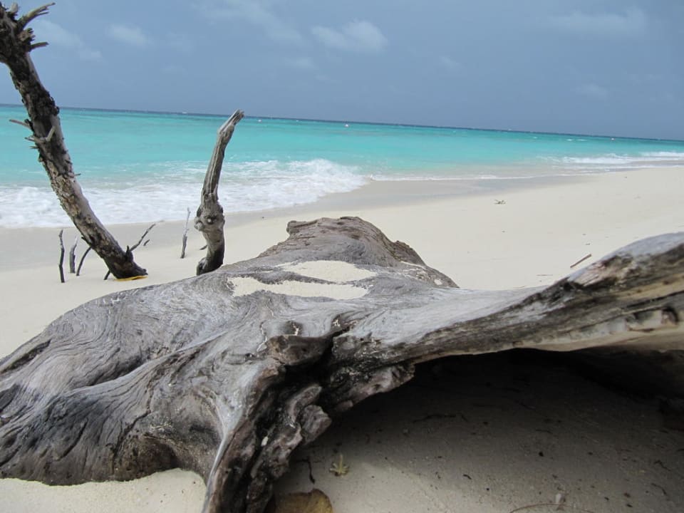 Bilder am Strand Kuredu Island Resort & Spa