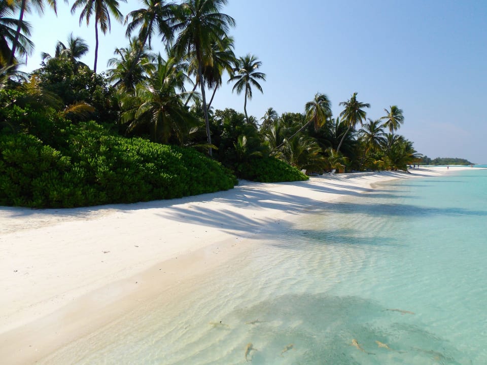 Strand Meeru Maldives Resort Island