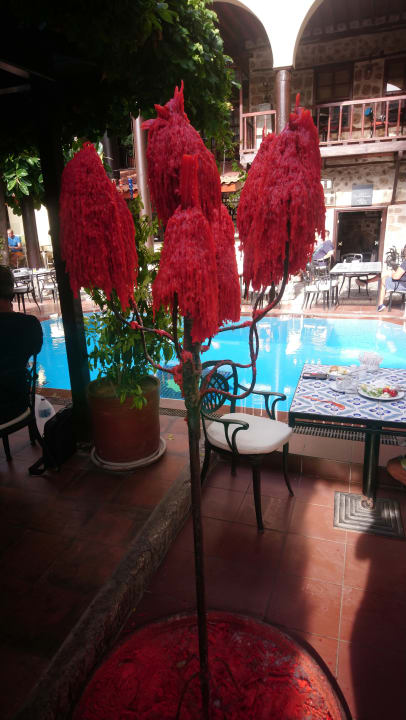 Pool Alp Pasa Hotel - Special Class