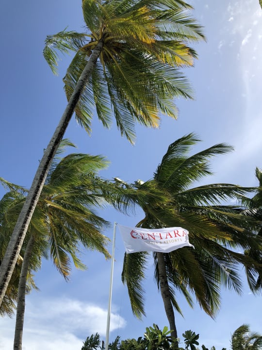 Gartenanlage Machchafushi Island Resort & Spa Maldives, The Centara Collection