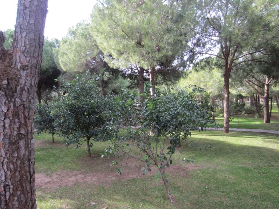 Garten Sirene Belek Hotel