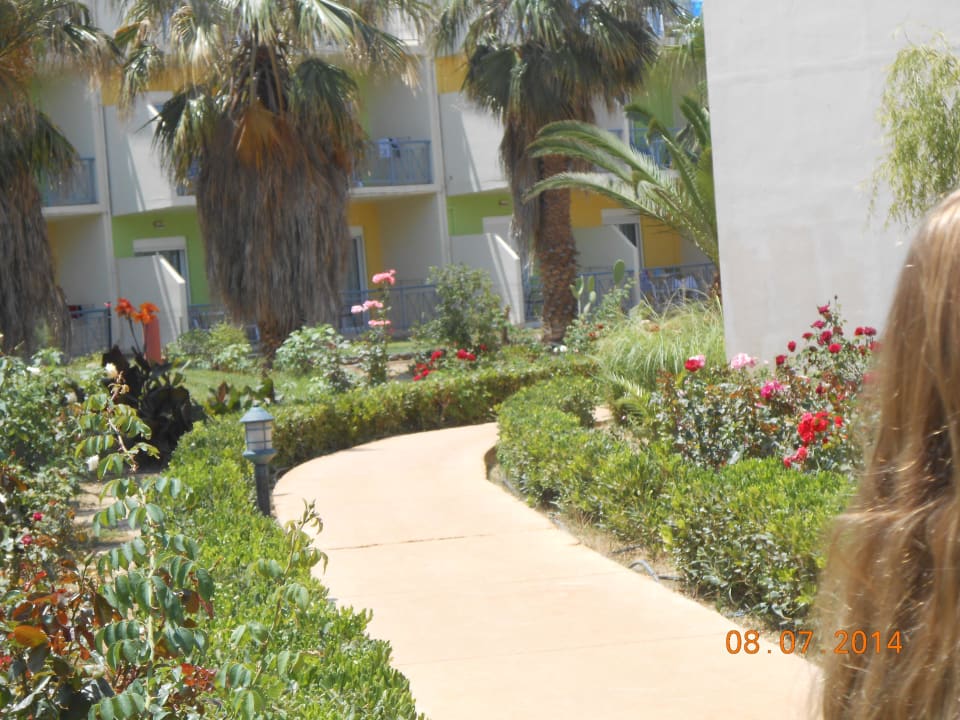 Bungalows Delfina Tropic Beach