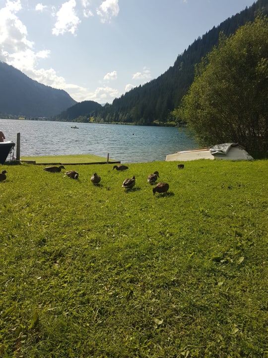 Ausblick Appartementhaus Fischers Traum