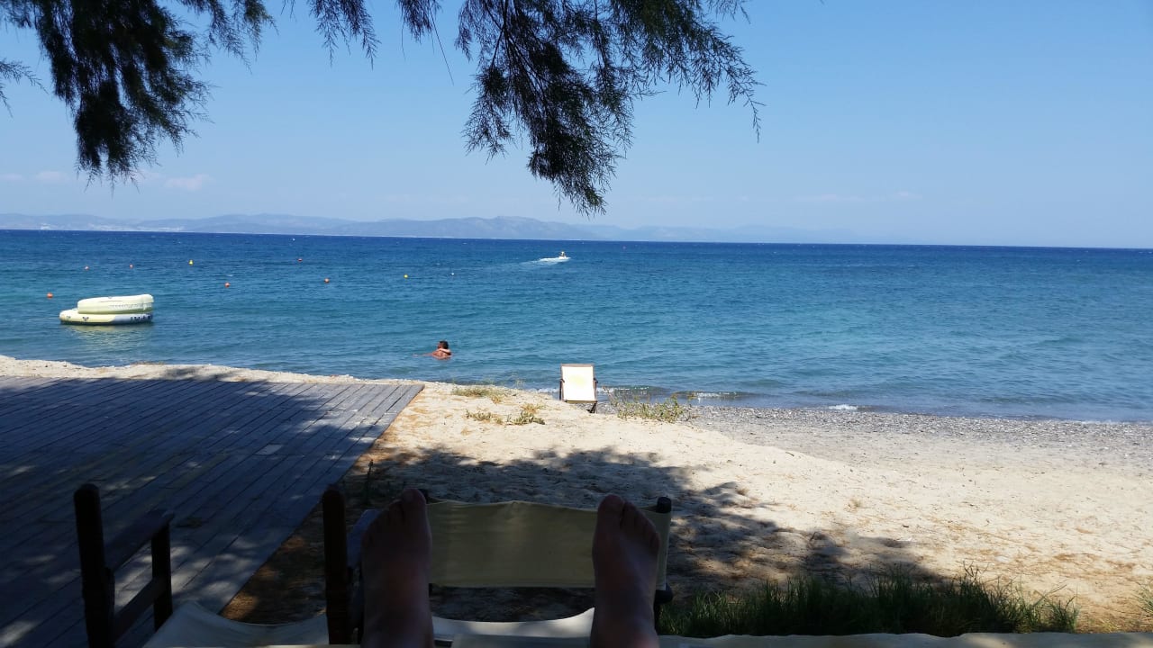 Strand TUI BLUE Oceanis Beach and Spa Resort