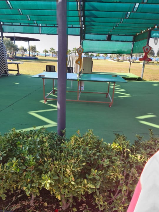 Sport & Freizeit Calimera Serra Palace