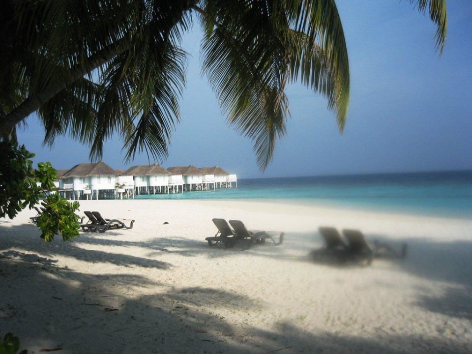 Spiaggia davanti alla ns camera 104 Machchafushi Island Resort & Spa Maldives, The Centara Collection