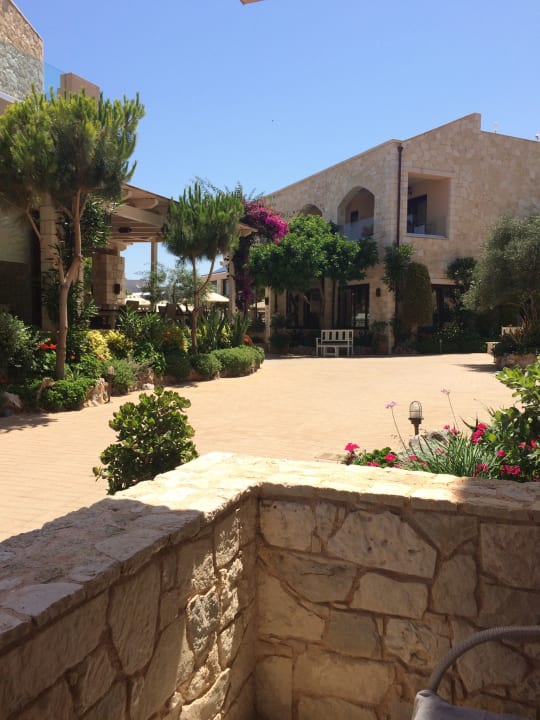 Gartenanlage Cactus Royal