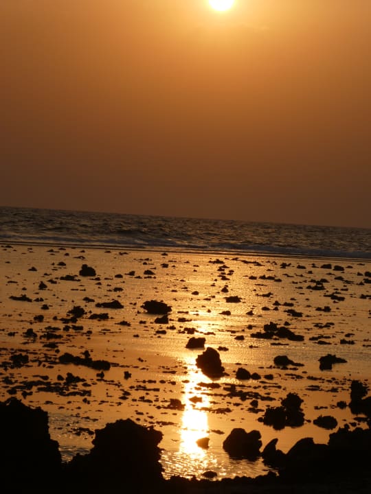 Strand Coral Sun Beach