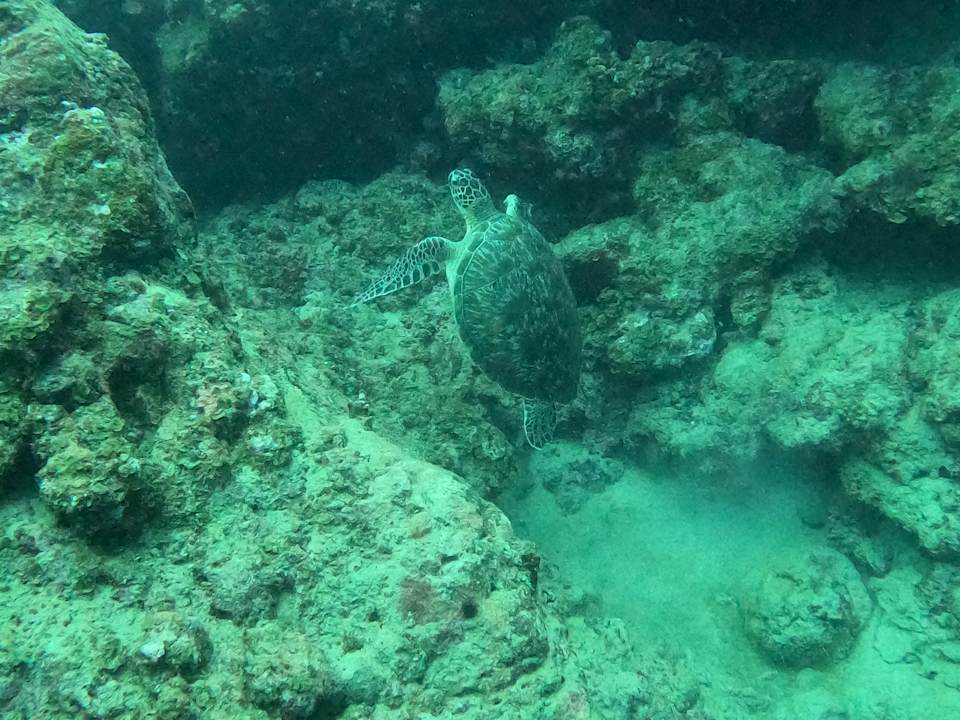 Strand Hotel Villas Caroline