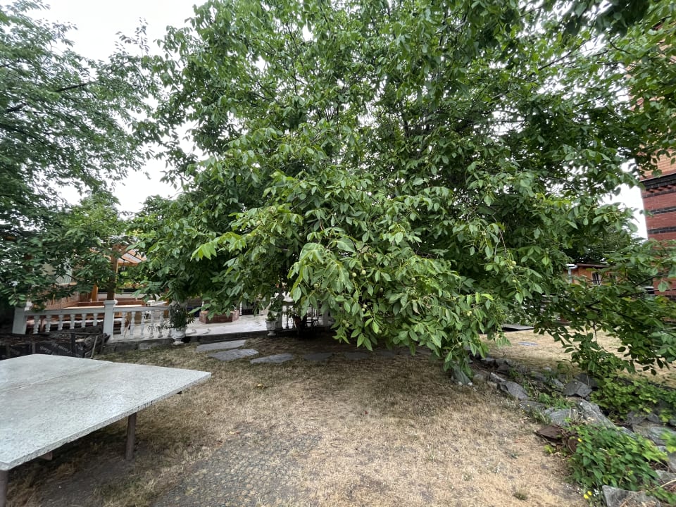 Gartenanlage Ferien in Dresden