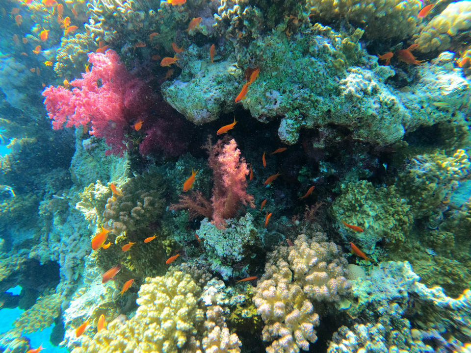 Sport & Freizeit Jaz Makadi Oasis Resort