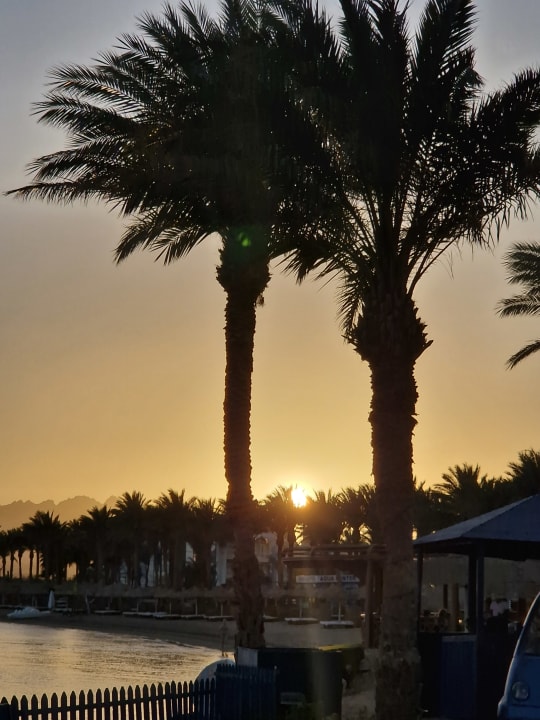 Strand Palm Royale Resort - Soma Bay