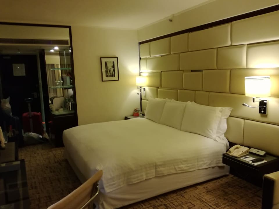 Zimmer Regal Airport Hotel