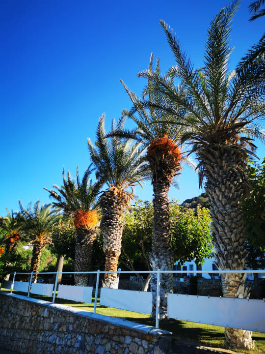 Außenansicht Hotel Istron Bay