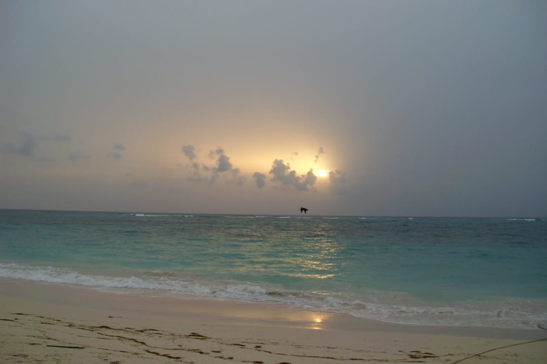 Sonnenaufgang Punta Cana Princess All Suites Resort & Spa