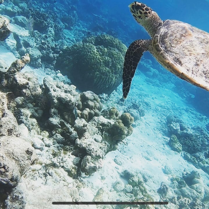 Sport & Freizeit Summer Island Maldives