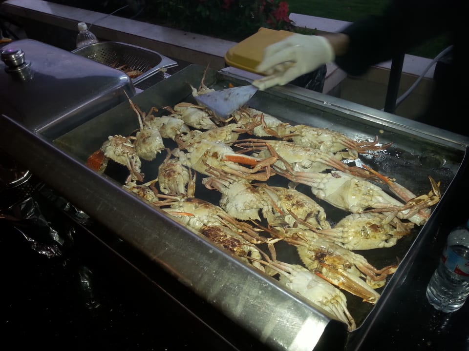 Gastro Beach Albatros Resort