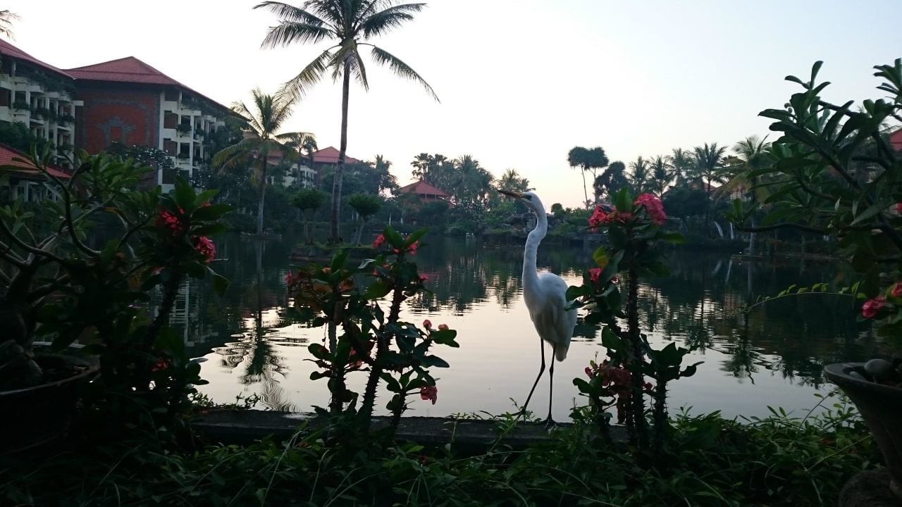 Frühstücksgäste Ayodya Resort Bali