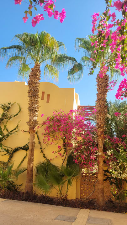 Außenansicht Steigenberger Coraya Beach - Adults only