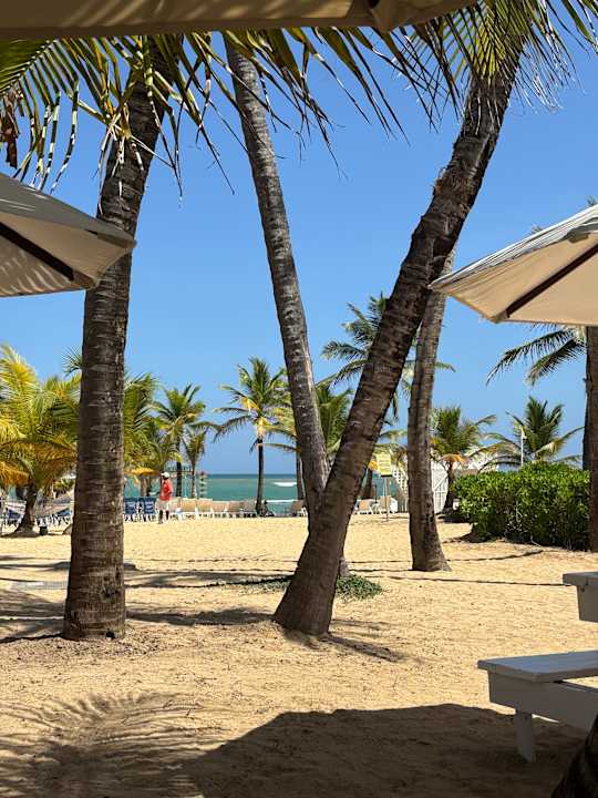 Ausblick Dreams Onyx Resort & Spa