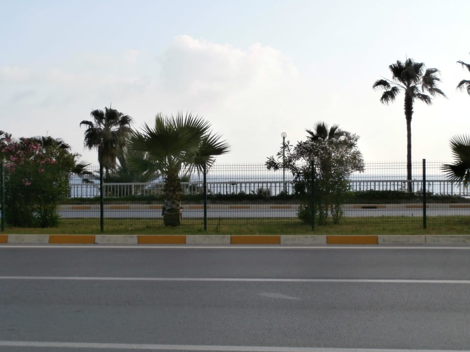 Aussicht vom Hotel aufs Wasser Antik Garden