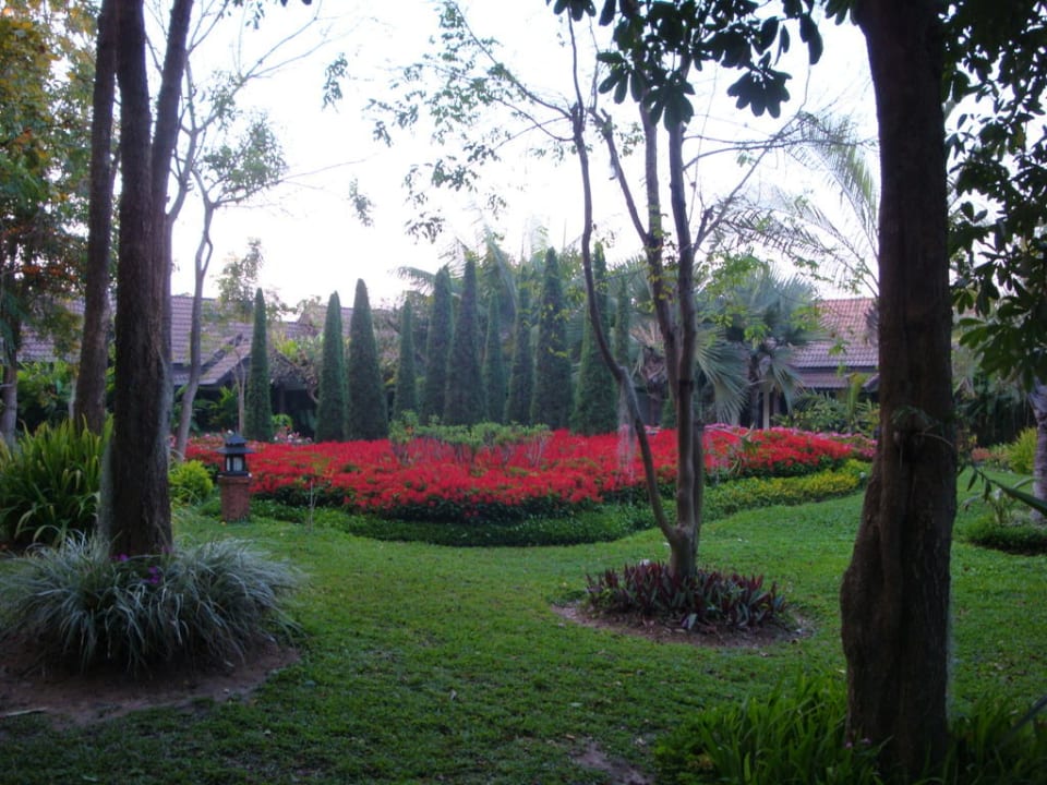 Gartenanlage Laluna Hotel & Resort