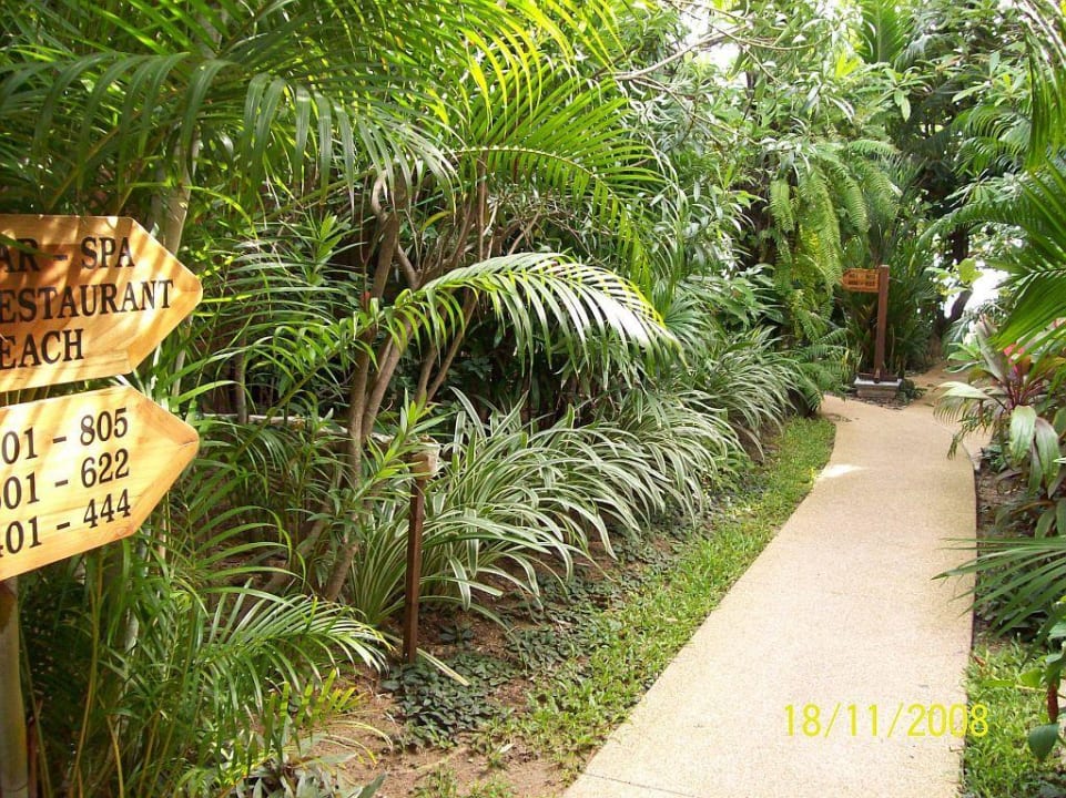 Wegweiser zur Bungalownummer Samui Paradise Chaweng Beach Resort & Spa