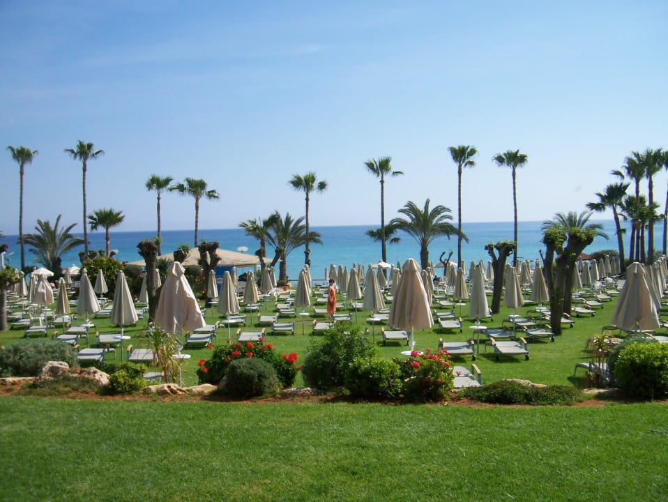 Liegenlandschaft Hotel Sunrise Beach