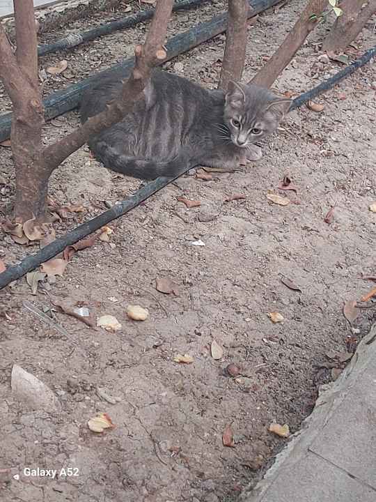 Ausblick Well Palace Side