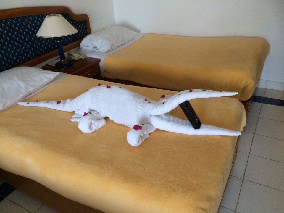 Hurghada Crocodile Desert Rose