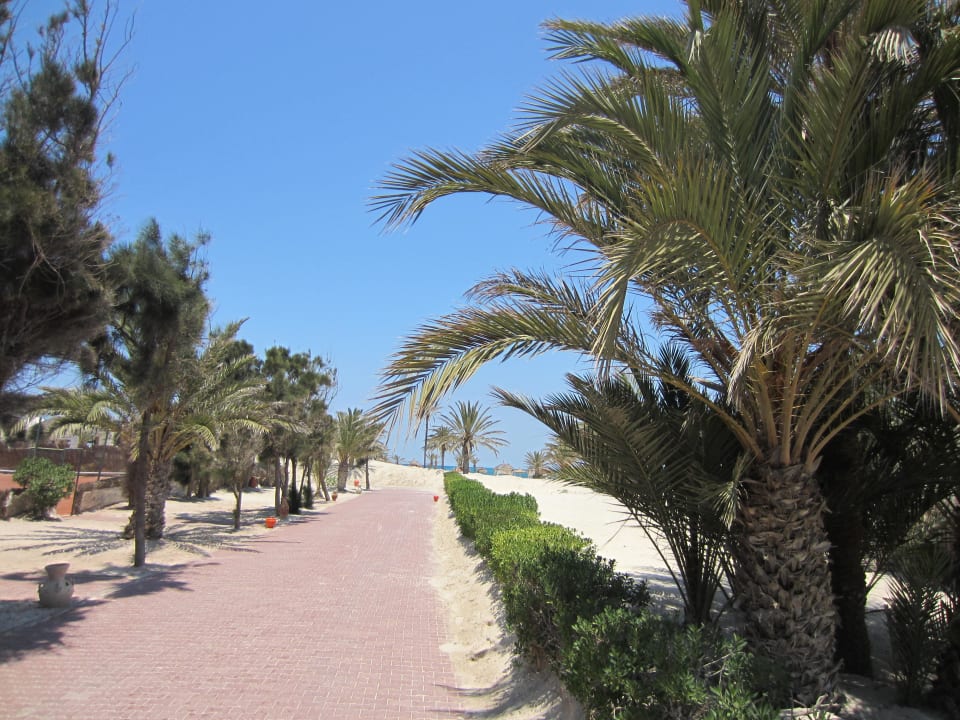 Durch die Gartenanlage zum Strand Djerba Golf Resort & Spa