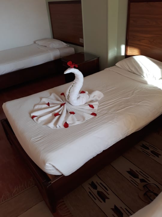 Zimmer Golden Beach Resort