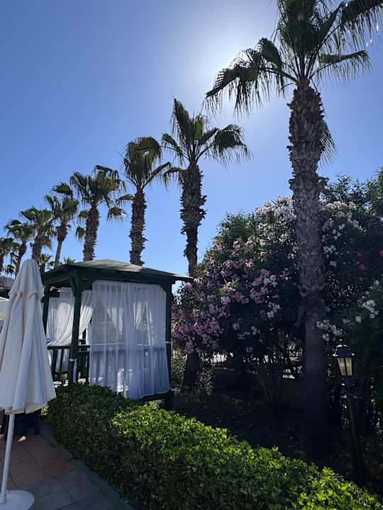 Pool Hotel Botanik Platinum