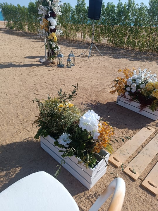 Gartenanlage Steigenberger Resort Ras Soma