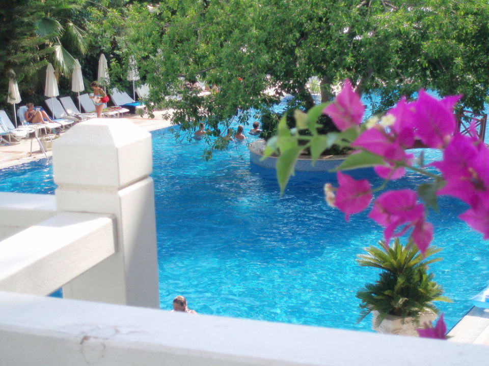 Blick von der Terrasse der Lobby über den Pool Side Star Beach
