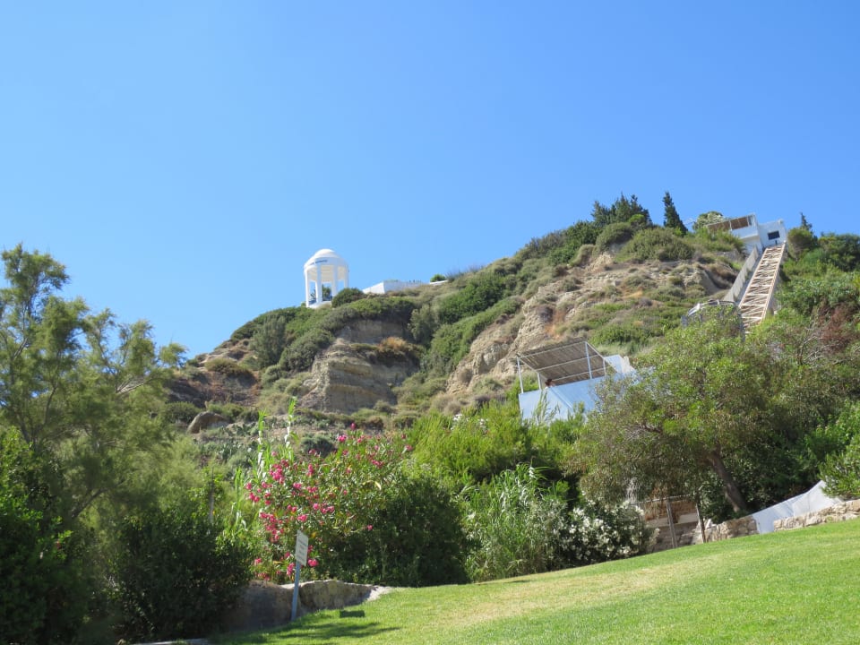 Ausblick nach oben ROBINSON DAIDALOS