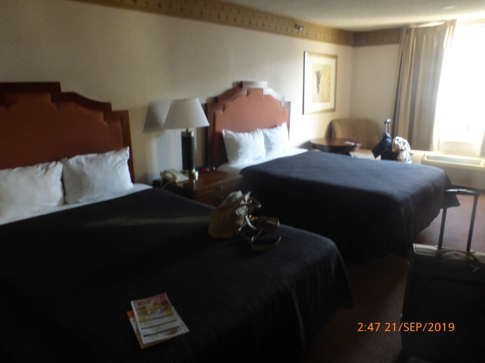 Zimmer Hotel Circus Circus