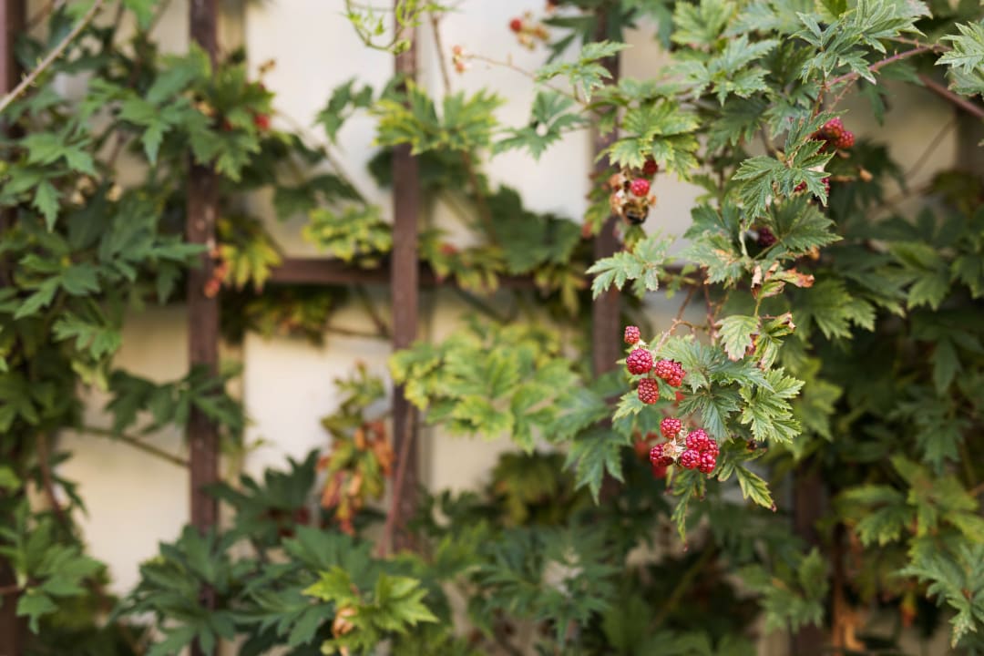 Sonstiges ProfilHotels - Hotel Garden