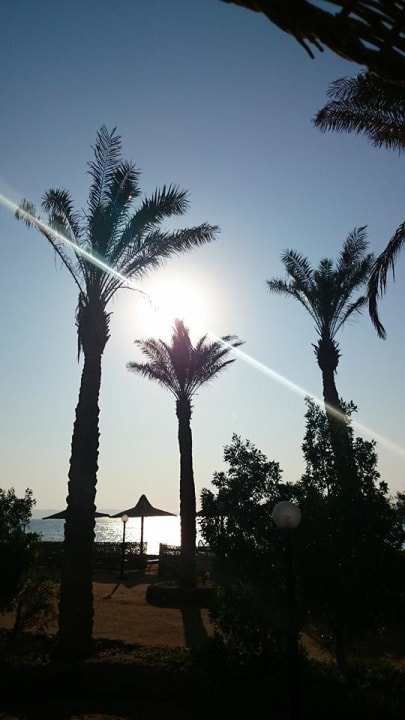 Ausblick von unserer Liege Arabia Azur Resort