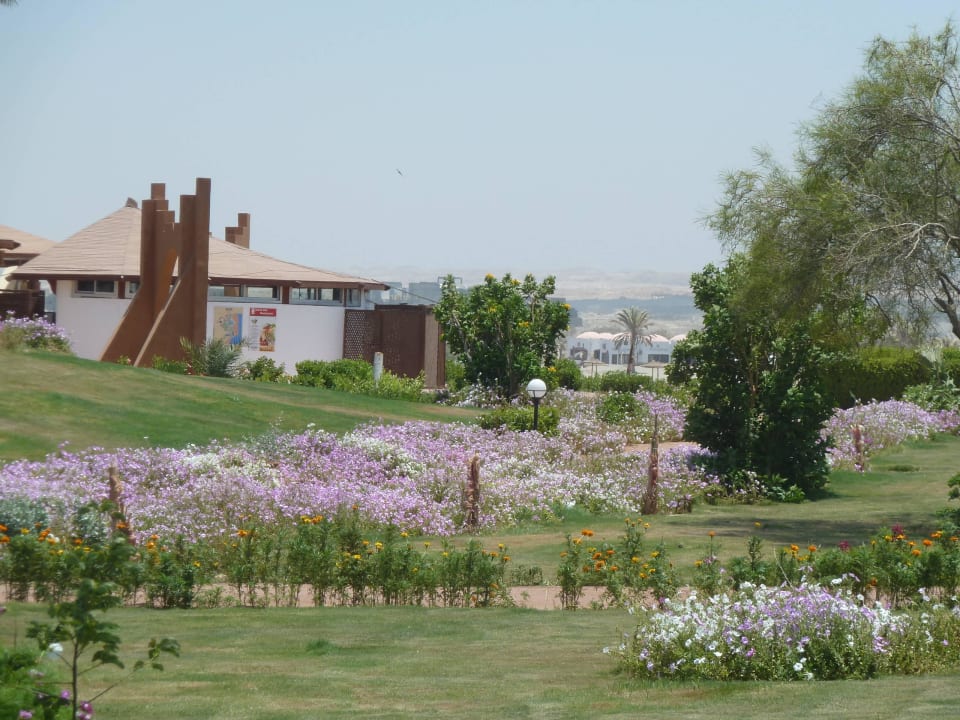 Blütenpracht auf dem Weg zur Panorama Bar Three Corners Equinox Beach Resort