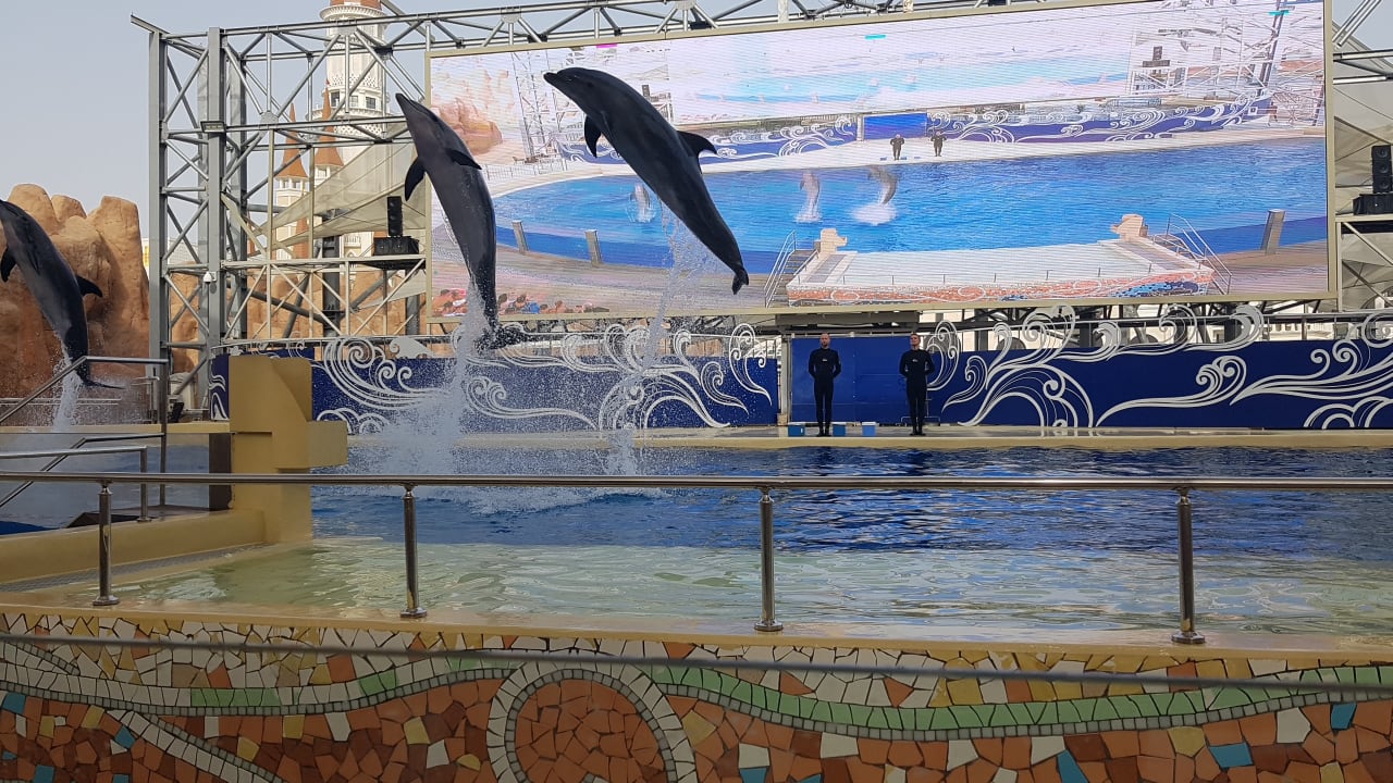 Sport & Freizeit The Land of Legends Kingdom Hotel