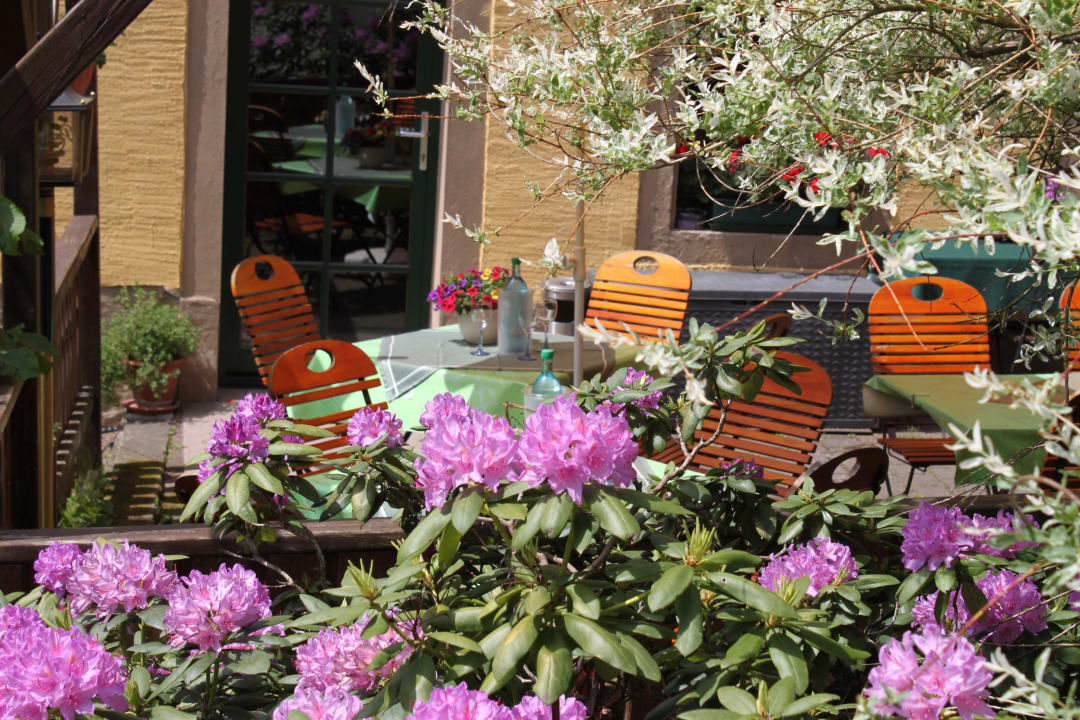 Gartenanlage Gasthof Hertigswalde