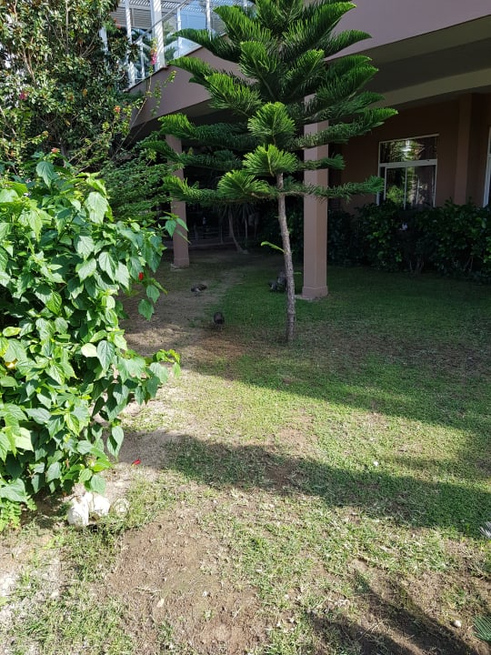 Gartenanlage Seaden Sea World Resort & Spa