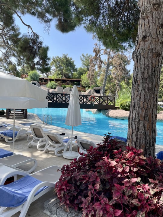 Pool Blue Waters Club