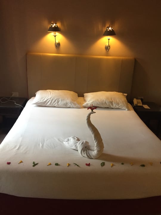 Zimmer Jaz Makadi Oasis Resort